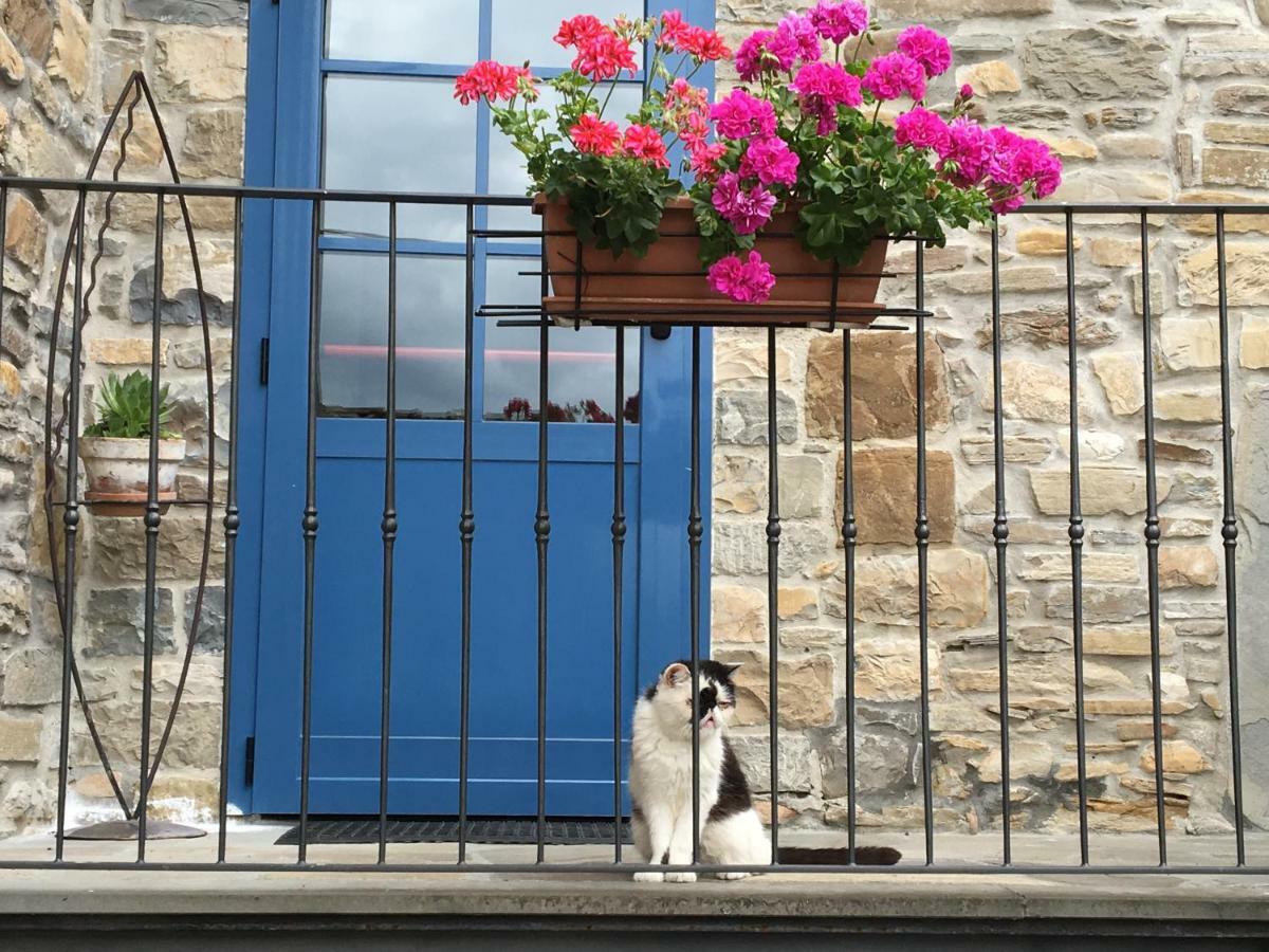 La Nel Vento Bed & Breakfast Calestano