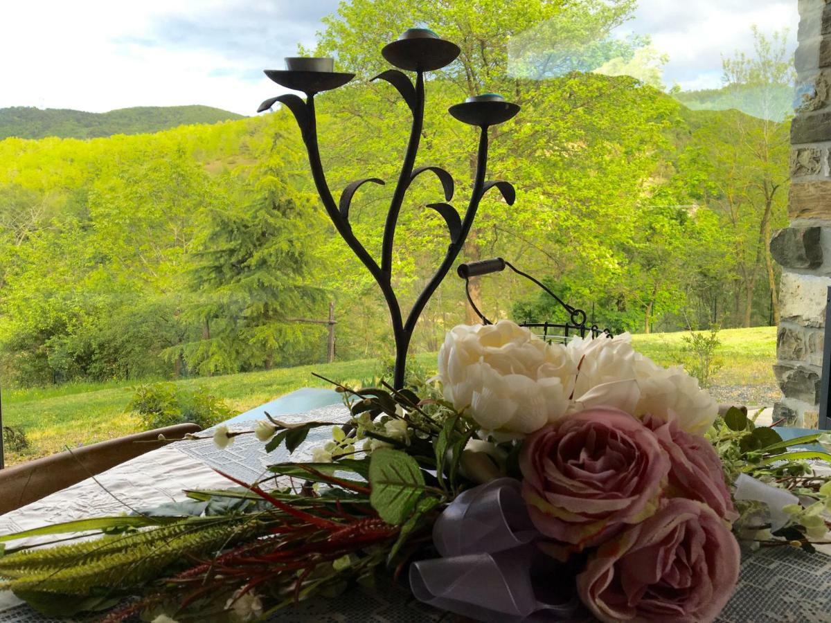 La Nel Vento Bed & Breakfast Calestano