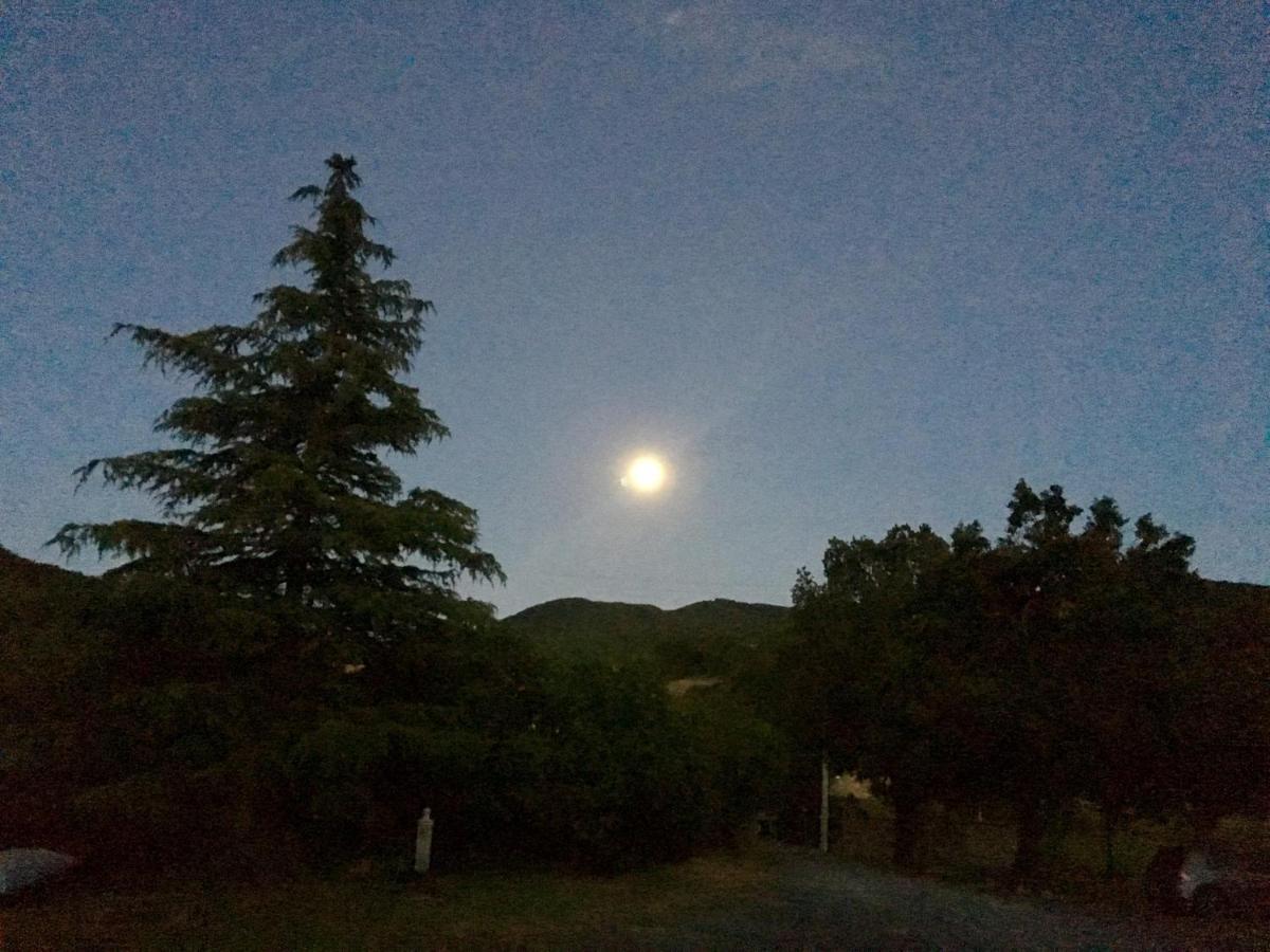 La Nel Vento *